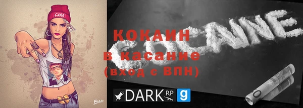 прущие грибы Майский
