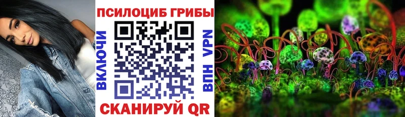 купить наркотики цена  Нефтеюганск  Галлюциногенные грибы Cubensis 